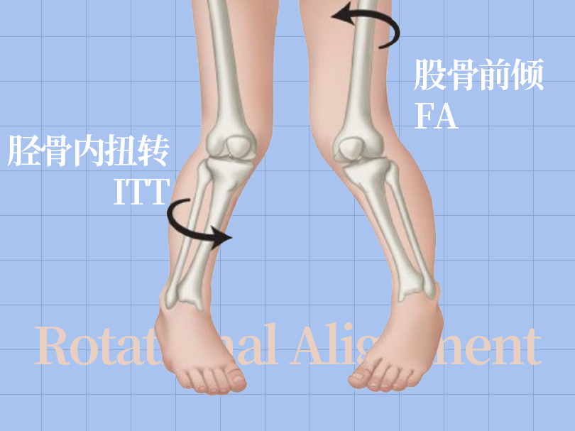 SPI足底壓力分布計量
